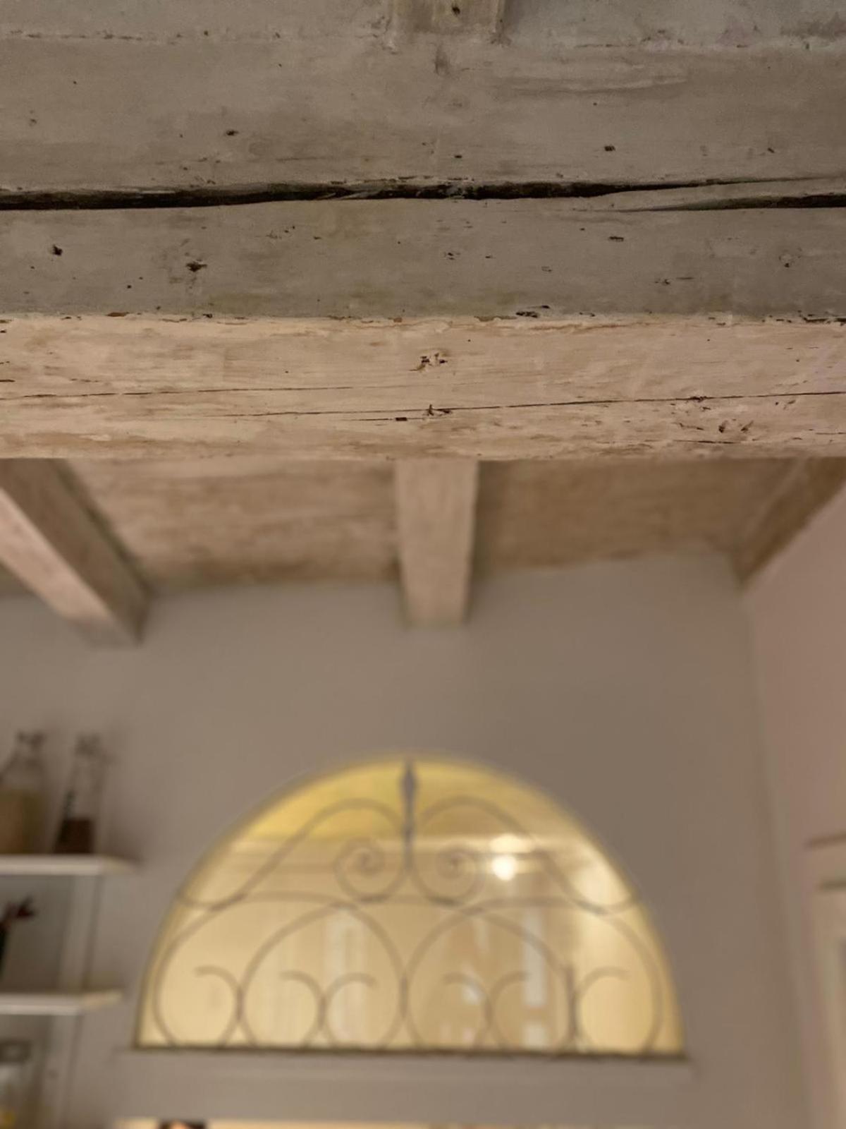 Casina Centotrecento-Romantic & Quite Apartment- Bologna Exteriör bild